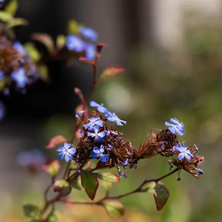 Astoria Casa de hóspedes